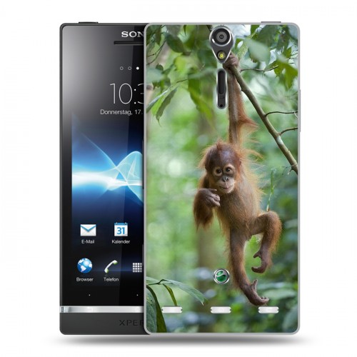 Дизайнерский пластиковый чехол для Sony Xperia S Обезьяны