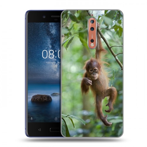 Дизайнерский пластиковый чехол для Nokia 8 Обезьяны