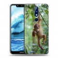 Дизайнерский пластиковый чехол для Nokia 5.1 Plus Обезьяны