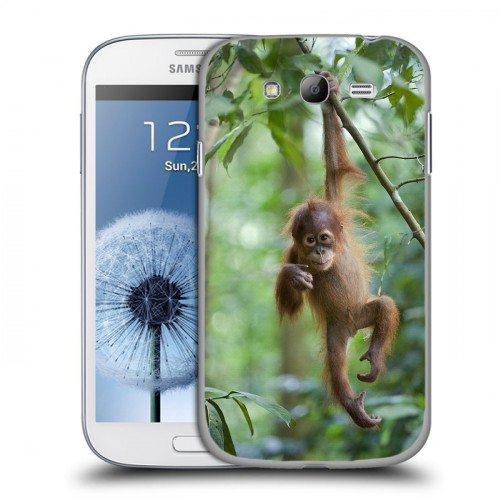 Дизайнерский пластиковый чехол для Samsung Galaxy Grand Обезьяны