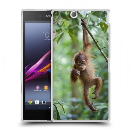 Дизайнерский пластиковый чехол для Sony Xperia Z Ultra  Обезьяны