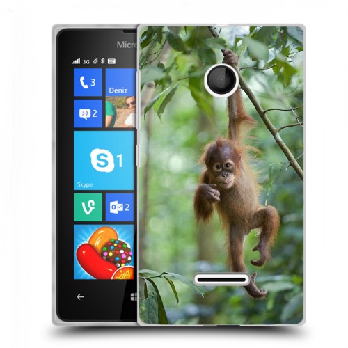 Дизайнерский пластиковый чехол для Microsoft Lumia 435 Обезьяны