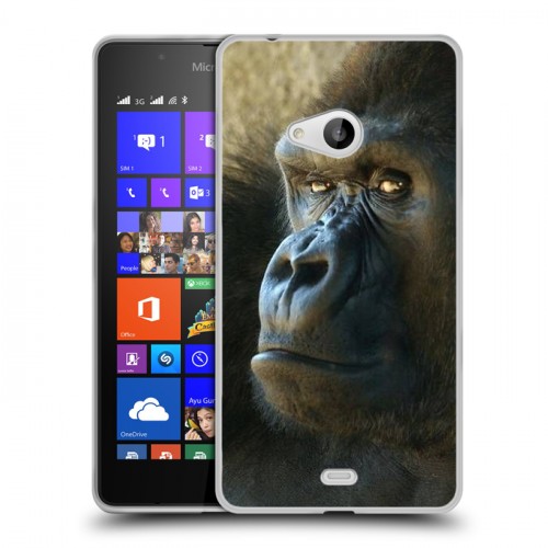 Дизайнерский пластиковый чехол для Microsoft Lumia 540 Обезьяны