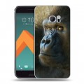 Дизайнерский пластиковый чехол для HTC 10 Обезьяны