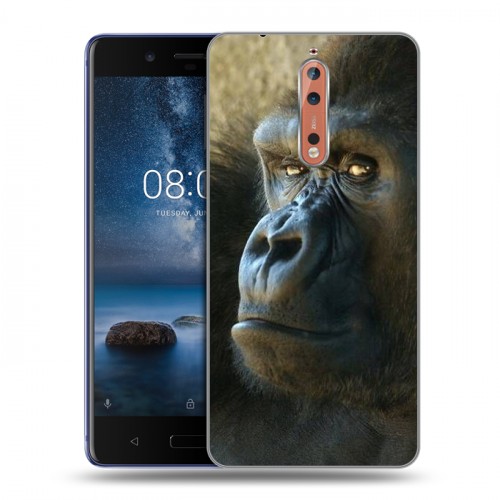 Дизайнерский пластиковый чехол для Nokia 8 Обезьяны