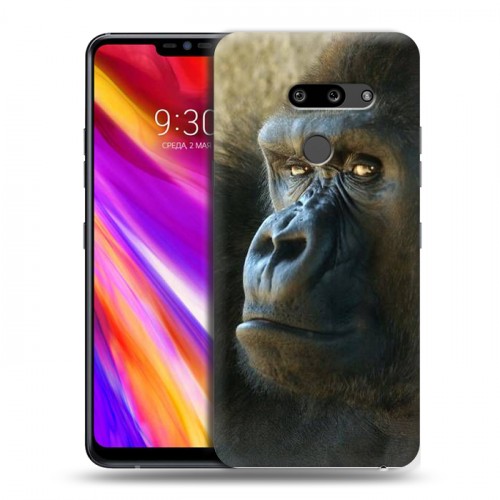 Дизайнерский пластиковый чехол для LG G8 ThinQ Обезьяны