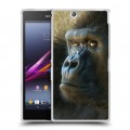 Дизайнерский пластиковый чехол для Sony Xperia Z Ultra  Обезьяны