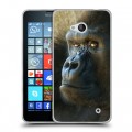 Дизайнерский пластиковый чехол для Microsoft Lumia 640 Обезьяны