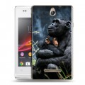 Дизайнерский пластиковый чехол для Sony Xperia E Обезьяны