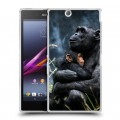 Дизайнерский пластиковый чехол для Sony Xperia Z Ultra  Обезьяны