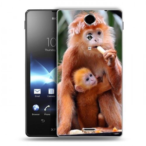 Дизайнерский пластиковый чехол для Sony Xperia TX Обезьяны