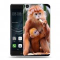 Дизайнерский пластиковый чехол для Huawei Y6II Обезьяны