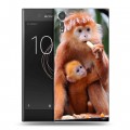 Дизайнерский пластиковый чехол для Sony Xperia XZs Обезьяны