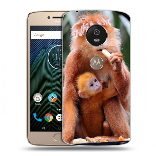 Дизайнерский пластиковый чехол для Motorola Moto G5s Обезьяны