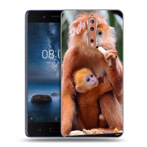 Дизайнерский пластиковый чехол для Nokia 8 Обезьяны