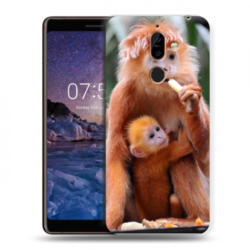 Дизайнерский пластиковый чехол для Nokia 7 Plus Обезьяны