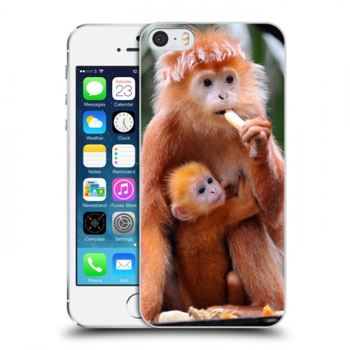 Дизайнерский пластиковый чехол для Iphone 5s Обезьяны