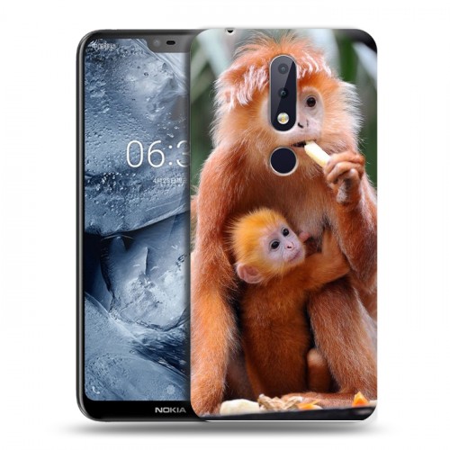 Дизайнерский пластиковый чехол для Nokia 6.1 Plus Обезьяны