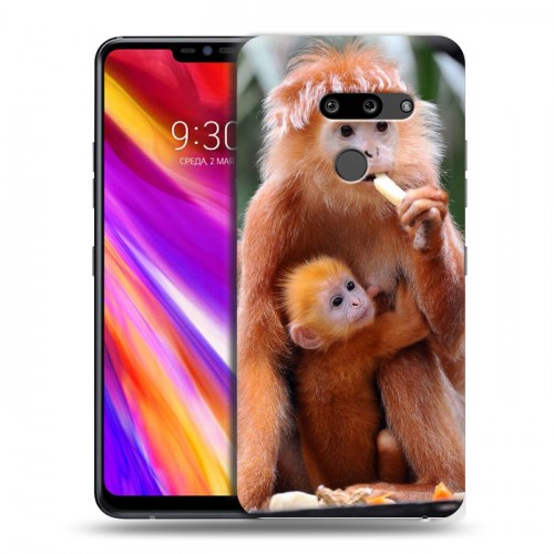 Дизайнерский пластиковый чехол для LG G8 ThinQ Обезьяны