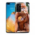 Дизайнерский пластиковый чехол для Huawei P40 Обезьяны