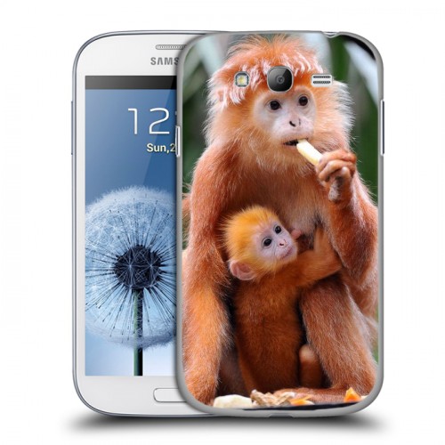 Дизайнерский пластиковый чехол для Samsung Galaxy Grand Обезьяны
