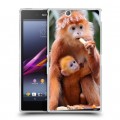 Дизайнерский пластиковый чехол для Sony Xperia Z Ultra  Обезьяны