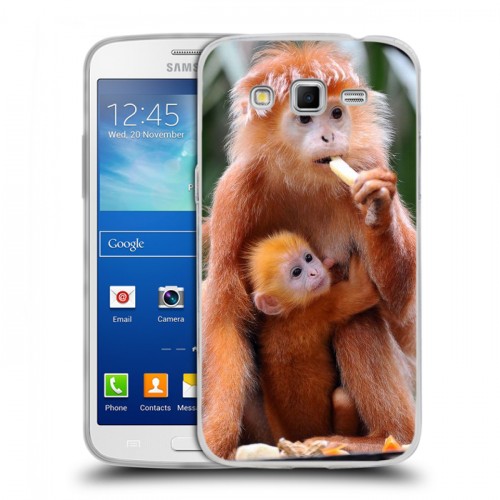 Дизайнерский пластиковый чехол для Samsung Galaxy Grand 2 Обезьяны