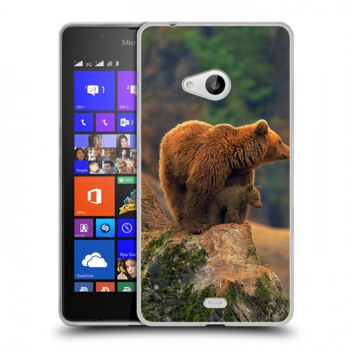 Дизайнерский пластиковый чехол для Microsoft Lumia 540 Медведи