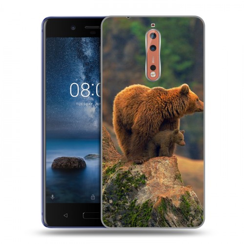 Дизайнерский пластиковый чехол для Nokia 8 Медведи