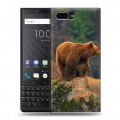 Дизайнерский пластиковый чехол для BlackBerry KEY2 Медведи