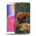 Дизайнерский пластиковый чехол для Xiaomi RedMi 6A Медведи