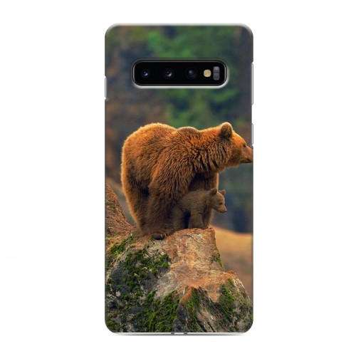 Дизайнерский силиконовый чехол для Samsung Galaxy S10 Медведи