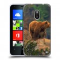 Дизайнерский пластиковый чехол для Nokia Lumia 620 Медведи