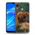 Дизайнерский пластиковый чехол для Huawei Y6 (2019) Медведи