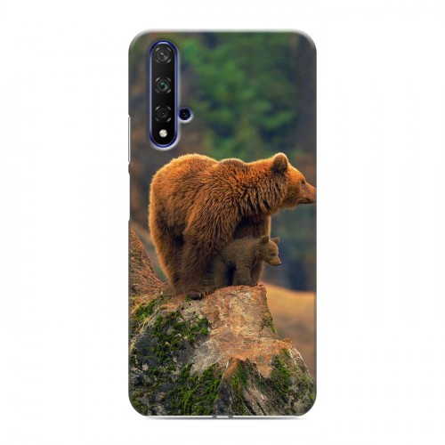 Дизайнерский силиконовый чехол для Huawei Honor 20 Медведи