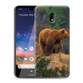 Дизайнерский пластиковый чехол для Nokia 2.2 Медведи