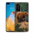 Дизайнерский пластиковый чехол для Huawei P40 Медведи