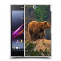 Дизайнерский пластиковый чехол для Sony Xperia Z Ultra  Медведи