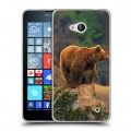 Дизайнерский пластиковый чехол для Microsoft Lumia 640 Медведи