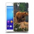 Дизайнерский пластиковый чехол для Sony Xperia C4 Медведи