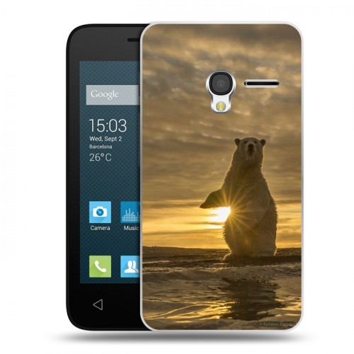 Дизайнерский пластиковый чехол для Alcatel One Touch Pixi 3 (4.0) Медведи