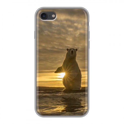 Дизайнерский силиконовый с усиленными углами чехол для Iphone 7 Медведи