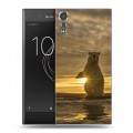 Дизайнерский пластиковый чехол для Sony Xperia XZs Медведи