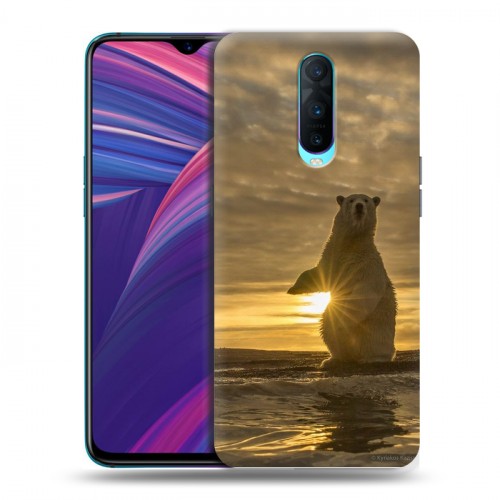 Дизайнерский пластиковый чехол для OPPO RX17 Pro Медведи