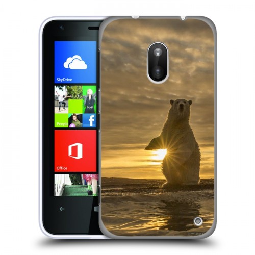 Дизайнерский пластиковый чехол для Nokia Lumia 620 Медведи