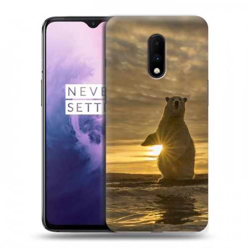 Дизайнерский пластиковый чехол для OnePlus 7 Медведи