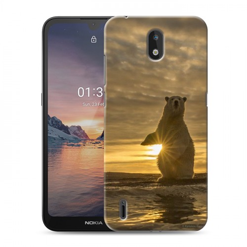 Дизайнерский силиконовый чехол для Nokia 1.3 Медведи