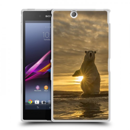 Дизайнерский пластиковый чехол для Sony Xperia Z Ultra  Медведи