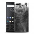 Дизайнерский пластиковый чехол для BlackBerry KEY2 Медведи