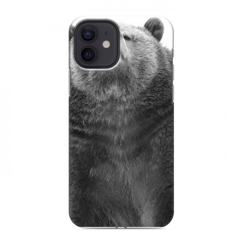 Дизайнерский силиконовый чехол для Iphone 12 Медведи